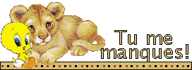 tu me manque